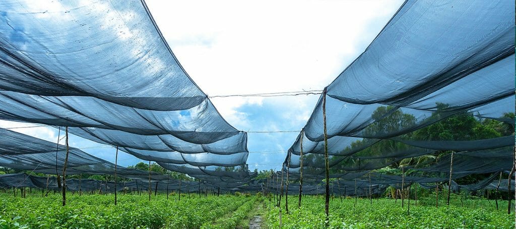 Lưới che nắng cho vườn rau - Lợi Dân