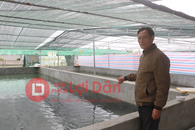 Xây dựng hệ thống bể xi măng chắc chắn để nuôi cá Tầm
